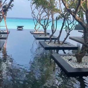 Meet your Posher, Will